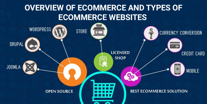 ecommerce types