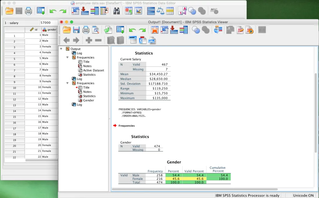 IBM SPSS