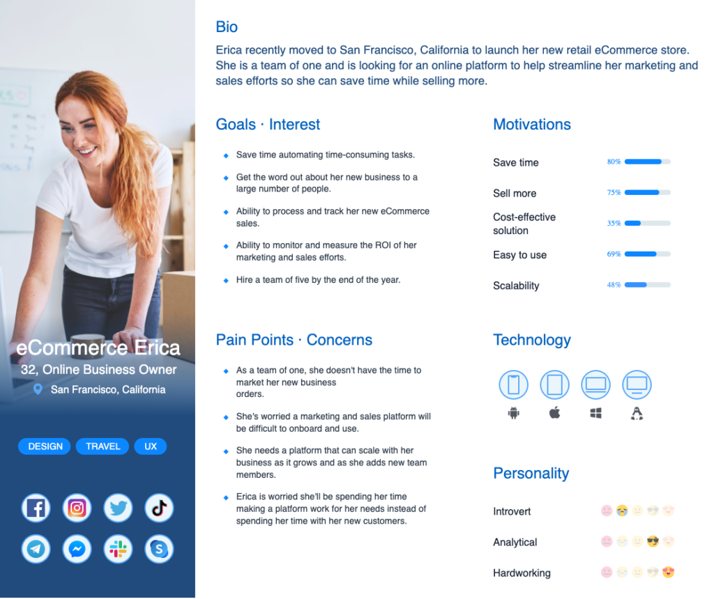 eCommerce Persona Example